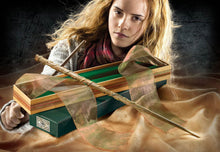 Hermine Grangers Zauberstab in Ollivander-Box