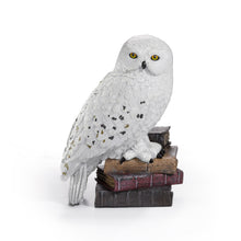 Hedwig-Diorama - Zauberhafte Eule Magische Kreaturen aus Harry Potter