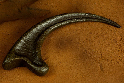 Pazur welociraptora z Jurassic Park: wierna replika