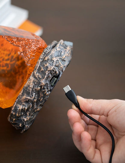 Die ultimative Jurassic Park Bernstein Lampe direkt aus der Urzeit!